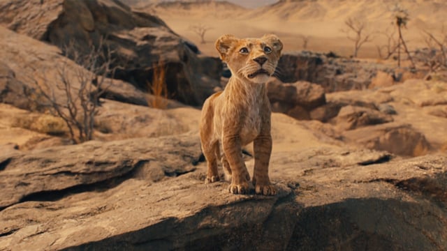 Mufasa: El rey león