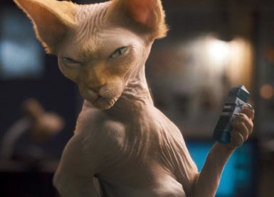 Como perros y gatos: La revancha de Kitty Galore