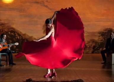Flamenco, flamenco