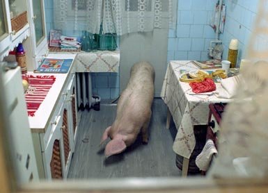 Cuentos de la edad de oro - VOSE