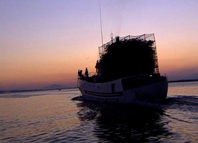 Malta radio (II)