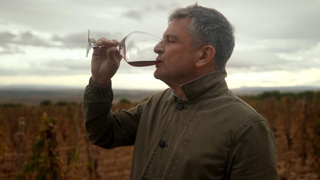 Rioja, la tierra de los mil vinos
