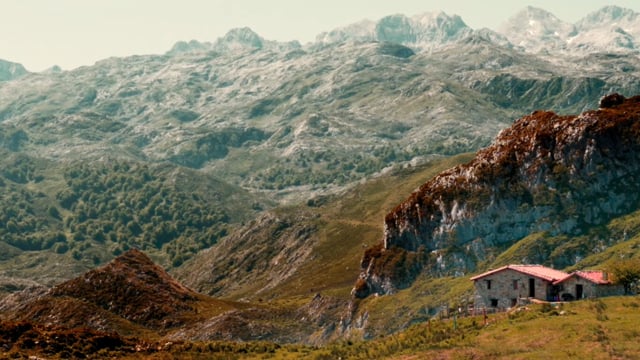 Salvajes, el cuento del lobo