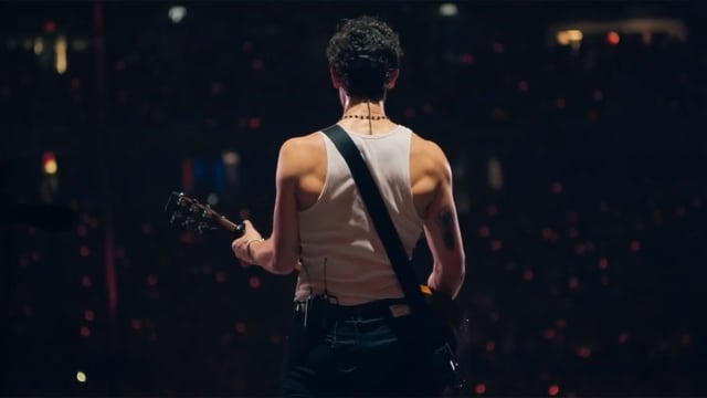 Shawn Mendes: In Wonder