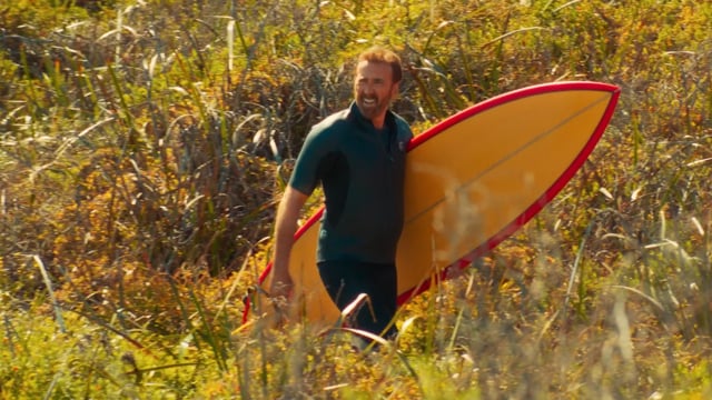 The Surfer