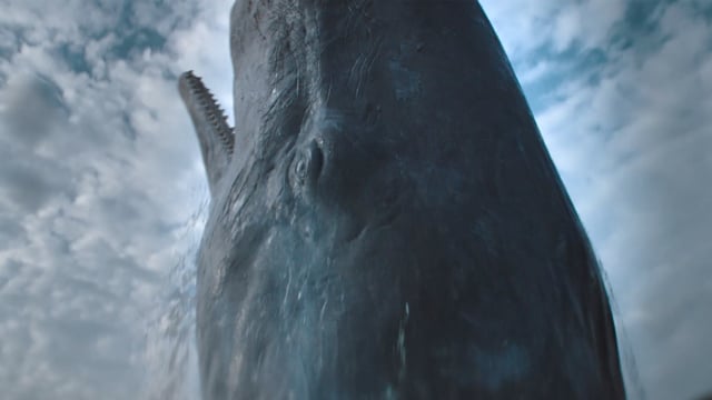 Whalefall