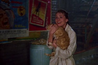 Las mejores películas de gatos