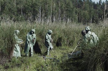 Las 75 mejores miniseries