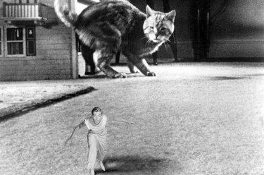 Las mejores películas sobre pequeñas criaturas, hombres menguantes y seres diminutos o reducidos