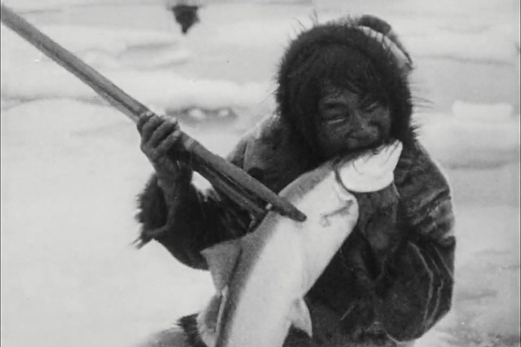 Los 100 mejores documentales