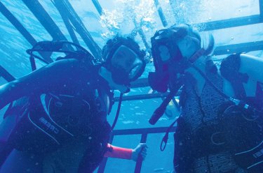 Las 100 películas más refrescantes y veraniegas en el agua