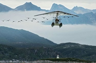 Las 100 mejores películas de animales