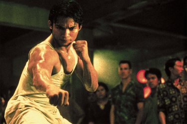 Las 100 mejores películas de artes marciales