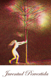 Juventud pervertida
