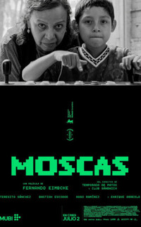Moscas