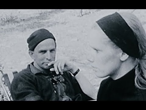 Searching for Ingmar Bergman