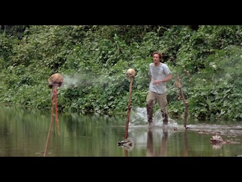 La serpiente y el arco iris