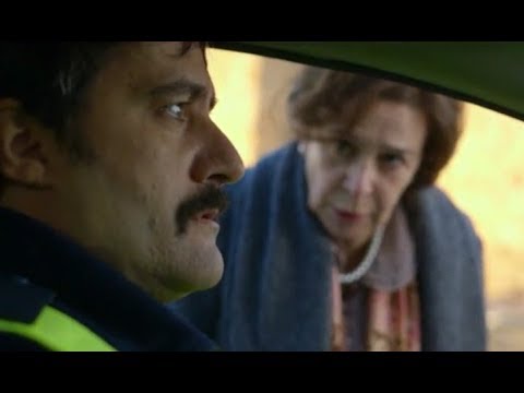 El sueño de las lagartijas