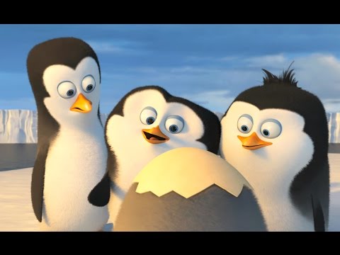 Los pingüinos de Madagascar (II)