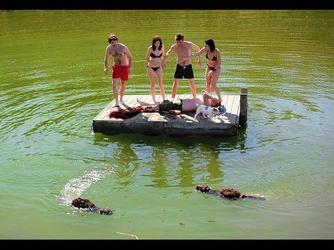 Zombeavers (Castores zombies)